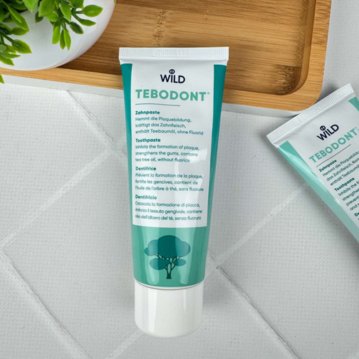 Зубная паста Dr. Wild Tebodont (Швейцария) с маслом чайного дерева, без фторида, 75 мл НФ-00000257 фото