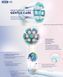 Сменные насадки на электрическую зубную щетку Oral-B iO Gentle Care (Германия), 4 шт, белые НФ-00000859 фото 2